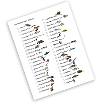 scavanger list